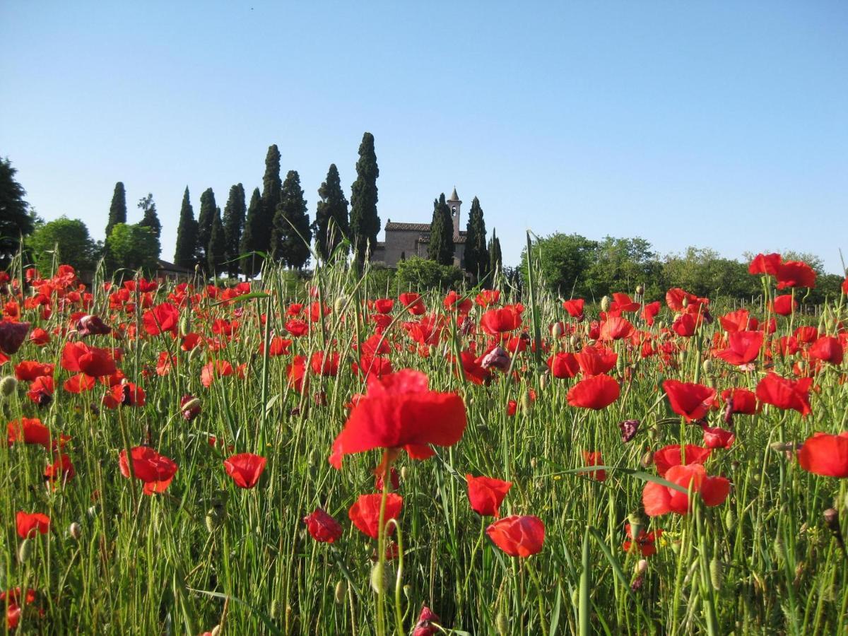 Agriturismo Campagnoletto Cavriana Luaran gambar
